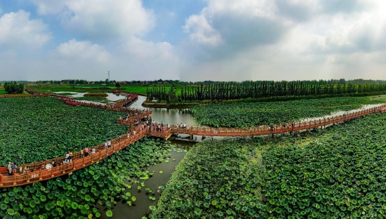 （菏澤市曹縣黃河故道濕地風(fēng)景區(qū)。圖片來源：菏澤市攝影家協(xié)會(huì)）